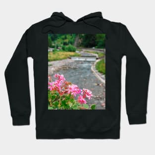 Pink Geraniums With Background River Hoodie